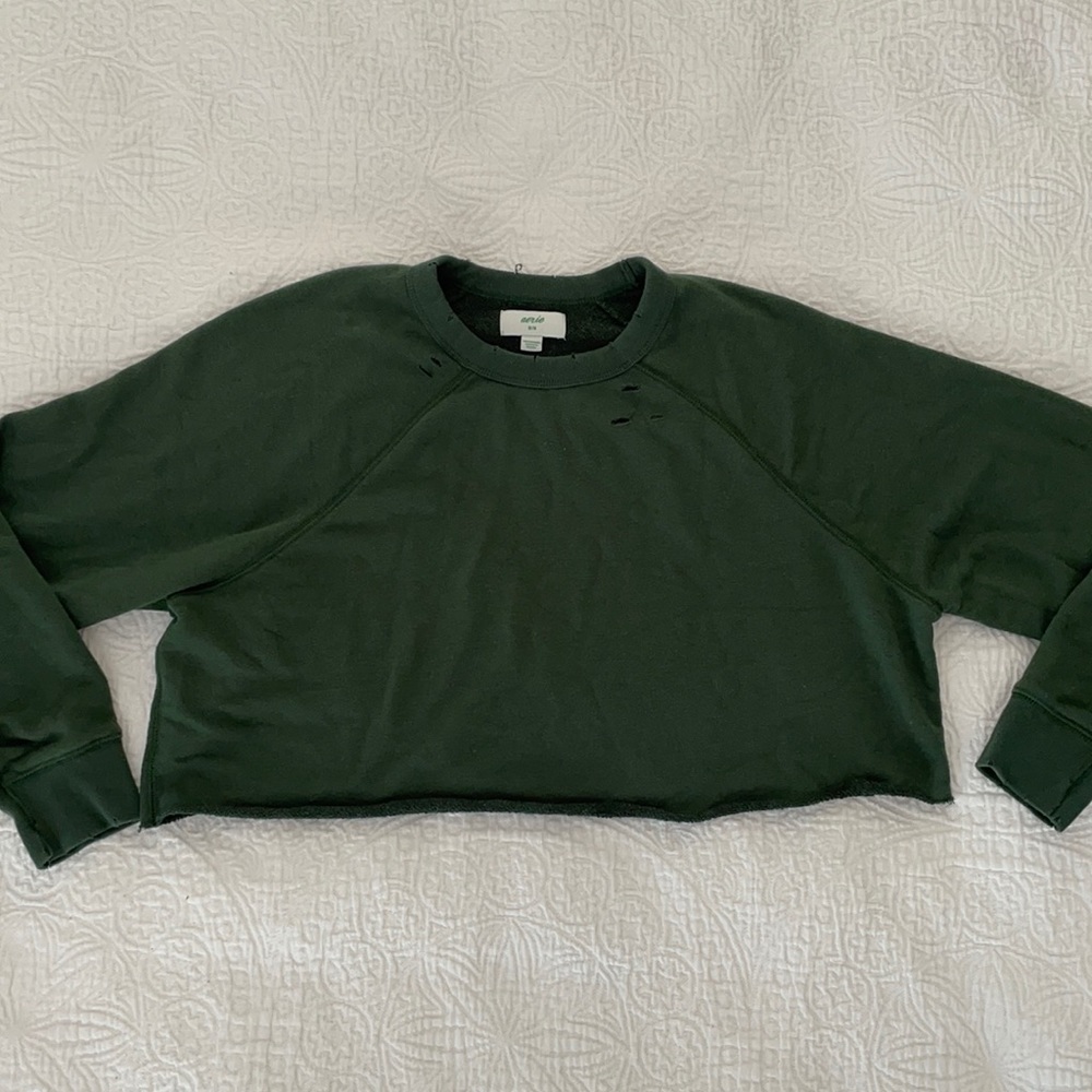 Aerie Distressed Cropped Crewneck